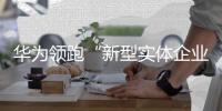 华为领跑“新型实体企业百强榜”