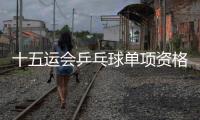 快排公司十年历程，霸屏兔 seo 的崛起与坚守