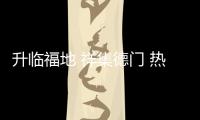 快排公司十年历程，霸屏兔 seo 的崛起与坚守