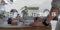 快排公司十年历程，霸屏兔 seo 的崛起与坚守