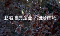 卫浴洁具企业：细分市场 重新规划布局