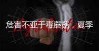 危害不亚于毒蘑菇，夏季吃海鲜小心贝类中毒
