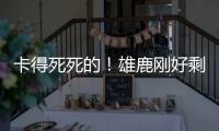 快排公司十年历程，霸屏兔 seo 的崛起与坚守