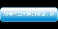 厌倦苍白无趣的墙面，萨拉玛艺术漆给你惊艳想象!