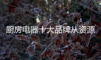 厨房电器十大品牌从资源、渠道、设计三方面谋发展