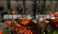 厨房橱柜企业
：积口碑造精品 重营销讲服务