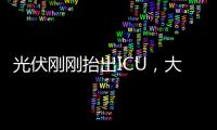 快排公司十年历程，霸屏兔 seo 的崛起与坚守