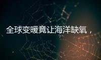 全球变暖竟让海洋缺氧	，3亿年前气候状态警示危机