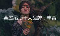全屋吊顶十大品牌：丰富产品线 发挥自身优势