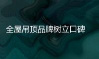 快排公司十年历程，霸屏兔 seo 的崛起与坚守