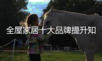 快排公司十年历程，霸屏兔 seo 的崛起与坚守