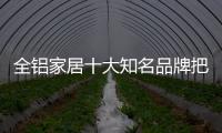 快排公司十年历程，霸屏兔 seo 的崛起与坚守