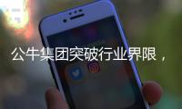 快排公司十年历程，霸屏兔 seo 的崛起与坚守