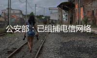 公安部	：已缉捕电信网络诈骗集团重大头目和骨干387名