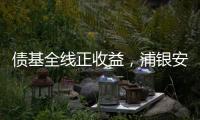 债基全线正收益，浦银安盛和光大保德信垫底丨公募基金损益榜②