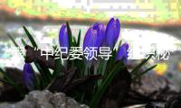 假“中纪委领导”组织秘密审讯案追踪：八狱警获罪，厅长供述首次公开