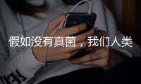 假如没有真菌，我们人类还能存活于地球吗�？
