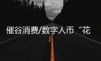 快排公司十年历程，霸屏兔 seo 的崛起与坚守