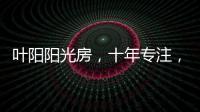快排公司十年历程，霸屏兔 seo 的崛起与坚守