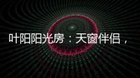 叶阳阳光房	：天窗伴侣
�
，静音降温，防虫去热，享受清凉!