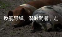 反舰导弹	、潜射武器，走近航展里的“海防利器”丨2022航展