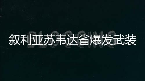 叙利亚去年12月政局剧变