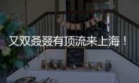 又双叒叕有顶流来上海！商场5层全部挤满，有人凌晨3点到门口排队.......