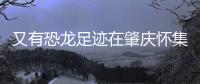 又有恐龙足迹在肇庆怀集被发现！发现者为大三学生