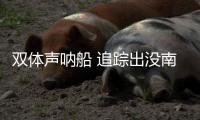 快排公司十年历程，霸屏兔 seo 的崛起与坚守