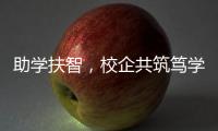 快排公司十年历程，霸屏兔 seo 的崛起与坚守