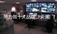 快排公司十年历程，霸屏兔 seo 的崛起与坚守