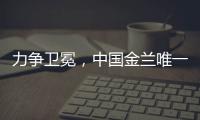 快排公司十年历程，霸屏兔 seo 的崛起与坚守