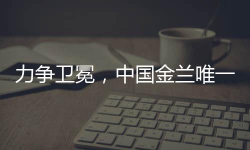 取得5胜1负的中国成绩