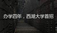 快排公司十年历程，霸屏兔 seo 的崛起与坚守