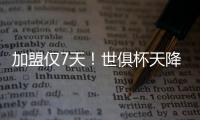 快排公司十年历程，霸屏兔 seo 的崛起与坚守