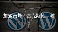 快排公司十年历程，霸屏兔 seo 的崛起与坚守