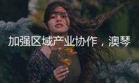 加强区域产业协作，澳琴组团赴华东地区招商引资