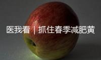 医我看｜抓住春季减肥黄金期
！省中医院珠海医院举行体重管理义诊活动