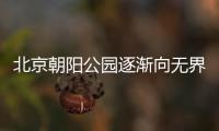 快排公司十年历程，霸屏兔 seo 的崛起与坚守