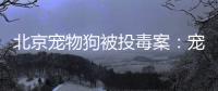 北京宠物狗被投毒案	：宠物如何定价
，犬主能否诉精神赔偿