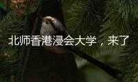 快排公司十年历程，霸屏兔 seo 的崛起与坚守