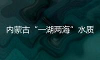 快排公司十年历程，霸屏兔 seo 的崛起与坚守