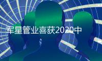 快排公司十年历程，霸屏兔 seo 的崛起与坚守