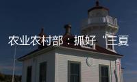 快排公司十年历程，霸屏兔 seo 的崛起与坚守