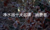 快排公司十年历程，霸屏兔 seo 的崛起与坚守