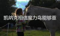 快排公司十年历程，霸屏兔 seo 的崛起与坚守