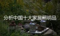 快排公司十年历程，霸屏兔 seo 的崛起与坚守