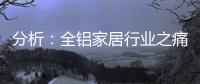 分析
：全铝家居行业之痛