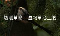 切削革命	：温网草地上的隐秘武器