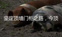 坚定顶墙门柜之路，今顶2021年核心代理商年中线上交流会圆满结束